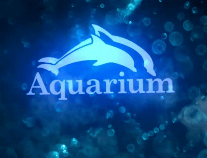 Aquarium : Aula del Mar - Invertebrados