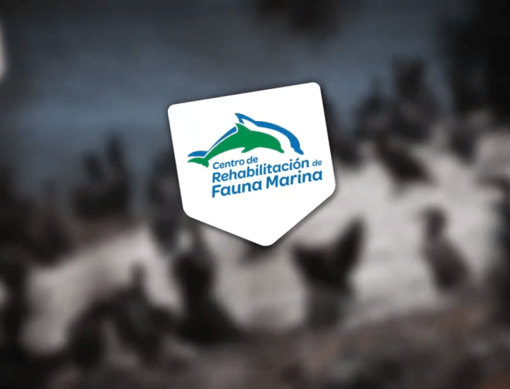 Aquarium : Segunda oportunidad