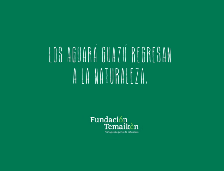 Temaikèn : Los Aguará Guazú regresan a la naturaleza